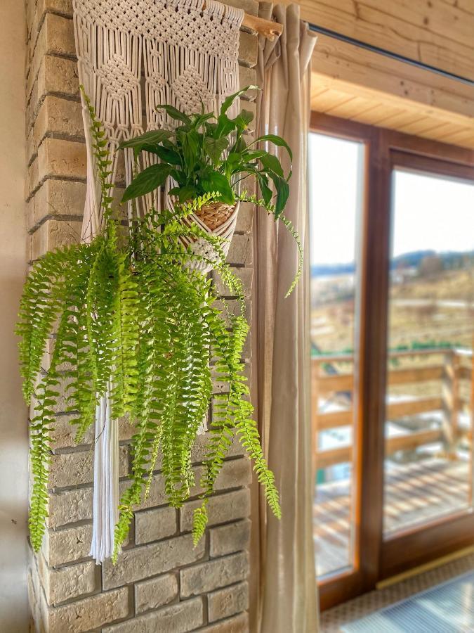 Dziejba Lesna Apartamenty &Spa - Piekne I Nowe Apartamenty I Domek, Sauna I Jacuzzi - W Cenie I Na Wylacznosc, 1 Km Od Stoku Jaworki Esterno foto
