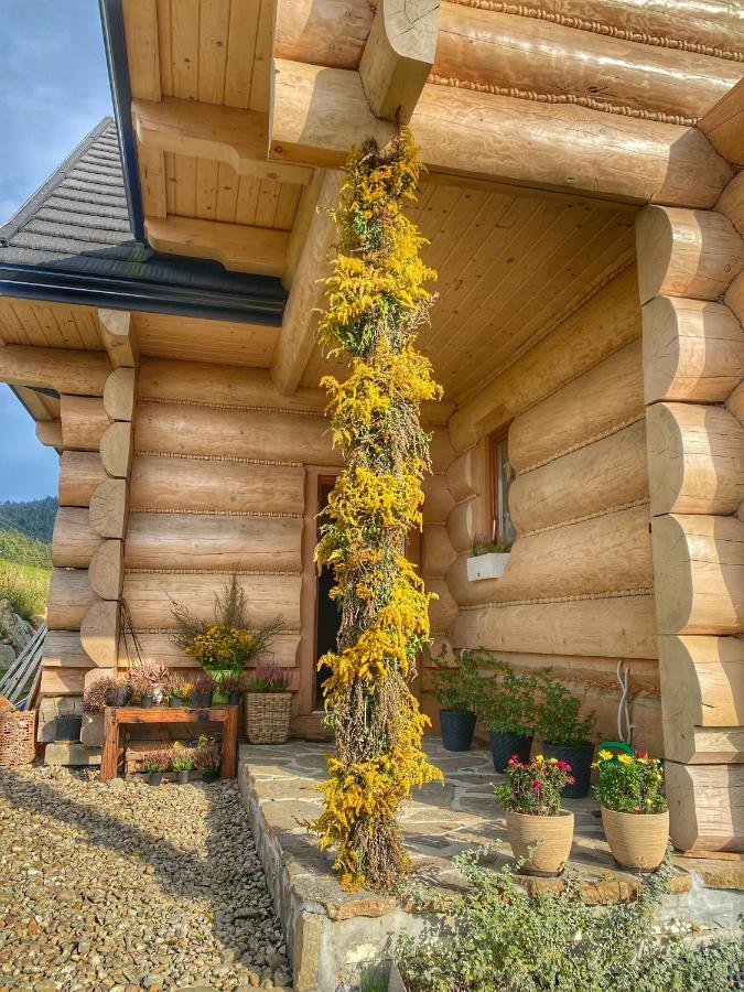 Dziejba Lesna Apartamenty &Spa - Piekne I Nowe Apartamenty I Domek, Sauna I Jacuzzi - W Cenie I Na Wylacznosc, 1 Km Od Stoku Jaworki Esterno foto