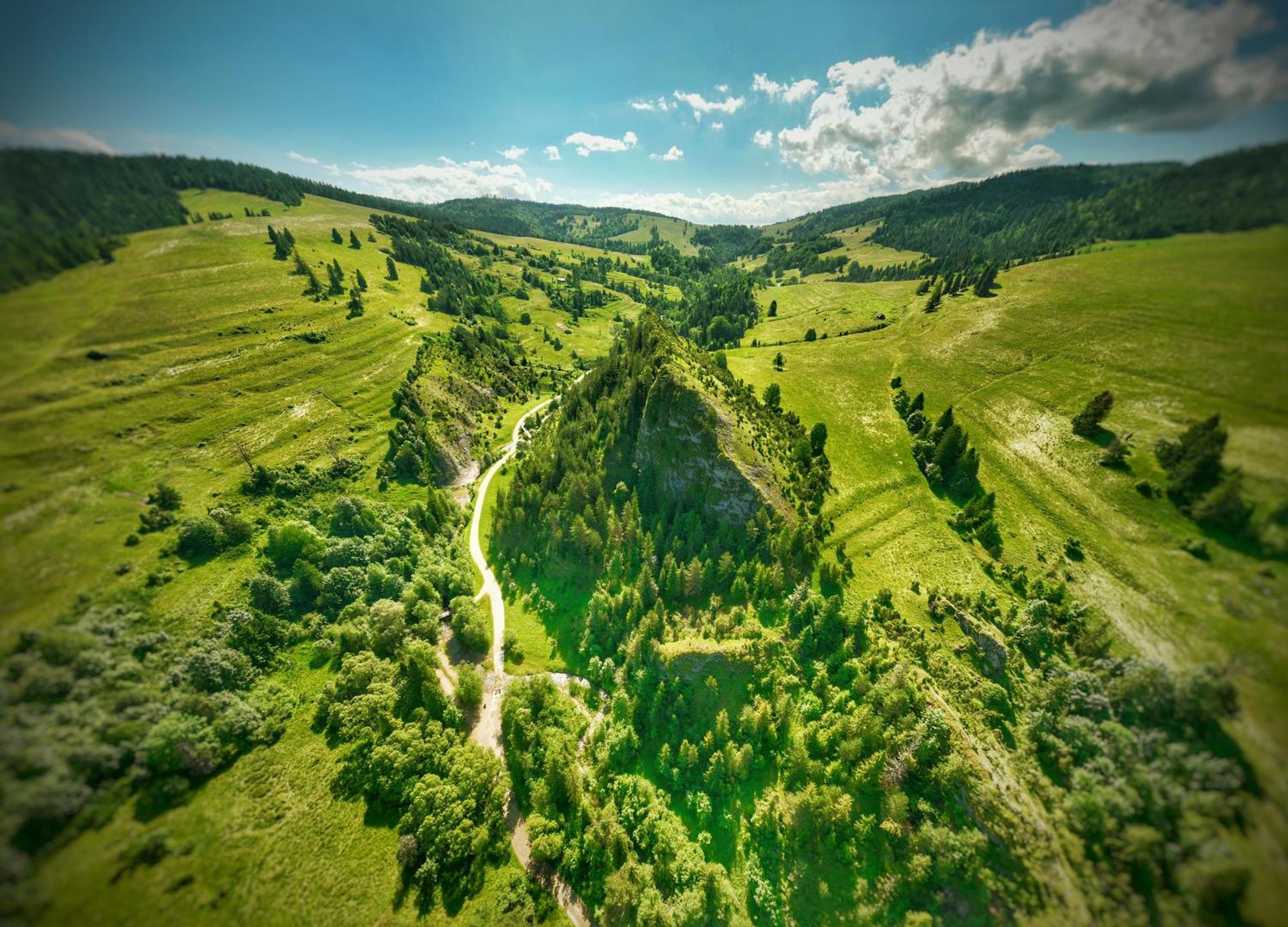 Dziejba Lesna Apartamenty &Spa - Piekne I Nowe Apartamenty I Domek, Sauna I Jacuzzi - W Cenie I Na Wylacznosc, 1 Km Od Stoku Jaworki Esterno foto
