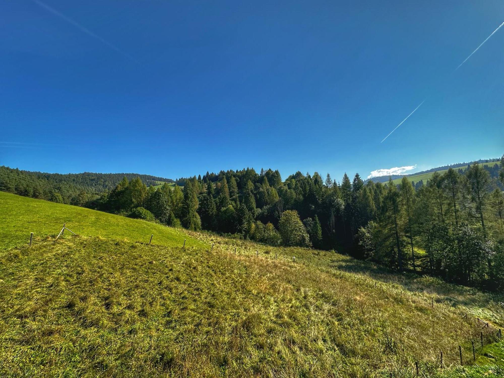 Dziejba Lesna Apartamenty &Spa - Piekne I Nowe Apartamenty I Domek, Sauna I Jacuzzi - W Cenie I Na Wylacznosc, 1 Km Od Stoku Jaworki Camera foto